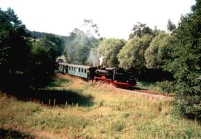 Sonderzug mit Mansfelder Lokomotiven und sumpfige Wiesen (2000)