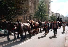12 Pferde vor dem Transportwagen